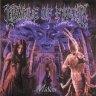 Dawnofmidian