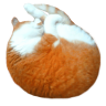 Samsah