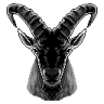 VuRkka