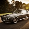 Mustang243