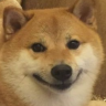 Skipidiveinau