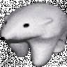 dongsdotcom