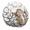 MairouDM