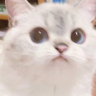 F1nality