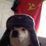 nahkajesu