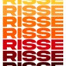 RISS3