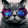 Petri JS