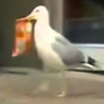 Busso