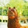 Maraaw