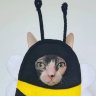 RayBees
