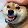 EHuuhilo