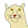 Tommi