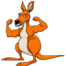 Kangaroo