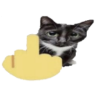 t3rve