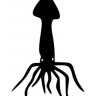 Calamari