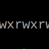 rwx