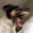 pkuitune