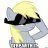 Poni