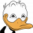 Oko