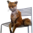 Risssaska