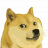 Sotalokki
