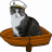 jannepo