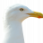 Olbert