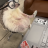 Jjappe