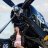 Wasp Major