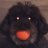 Nalle