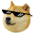 Dogetor