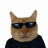 Maibam
