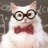 CryptoGeek