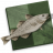 Fishcooking