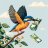 Alcedinidae