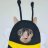 RayBees