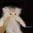 molar_cat