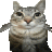 RasseB